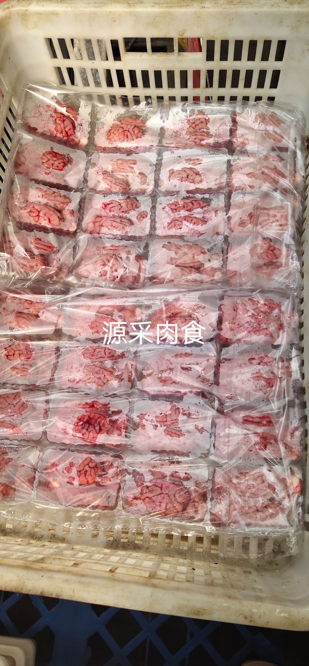 猪脑 鲜冻脑花