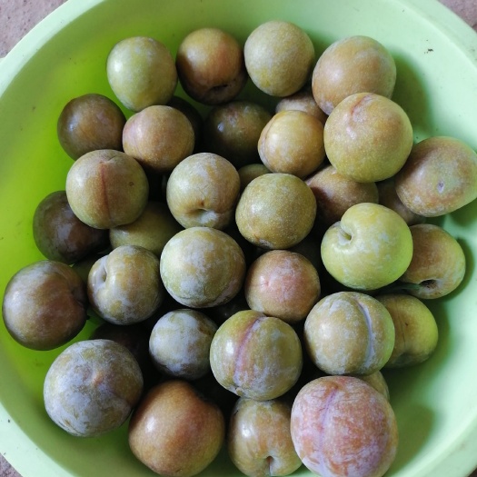 兴业县脆红三华李，农家肥生态种植，甜脆可口