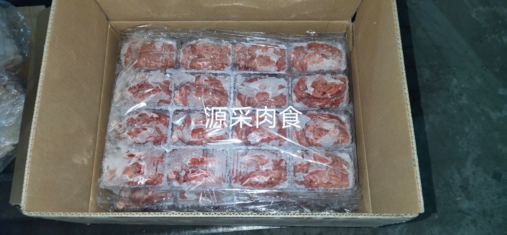 猪脑 鲜冻脑花
