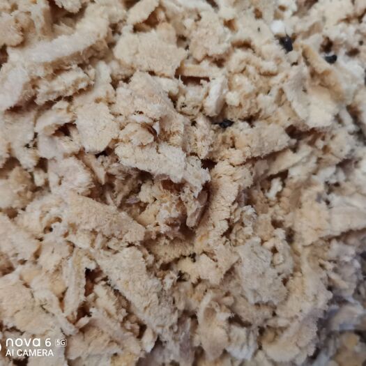 巨野县 黑水虻虫卵