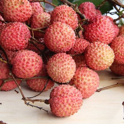 高州市高州桂味荔枝
