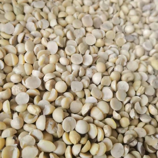 北票市白青稞  豆瓣