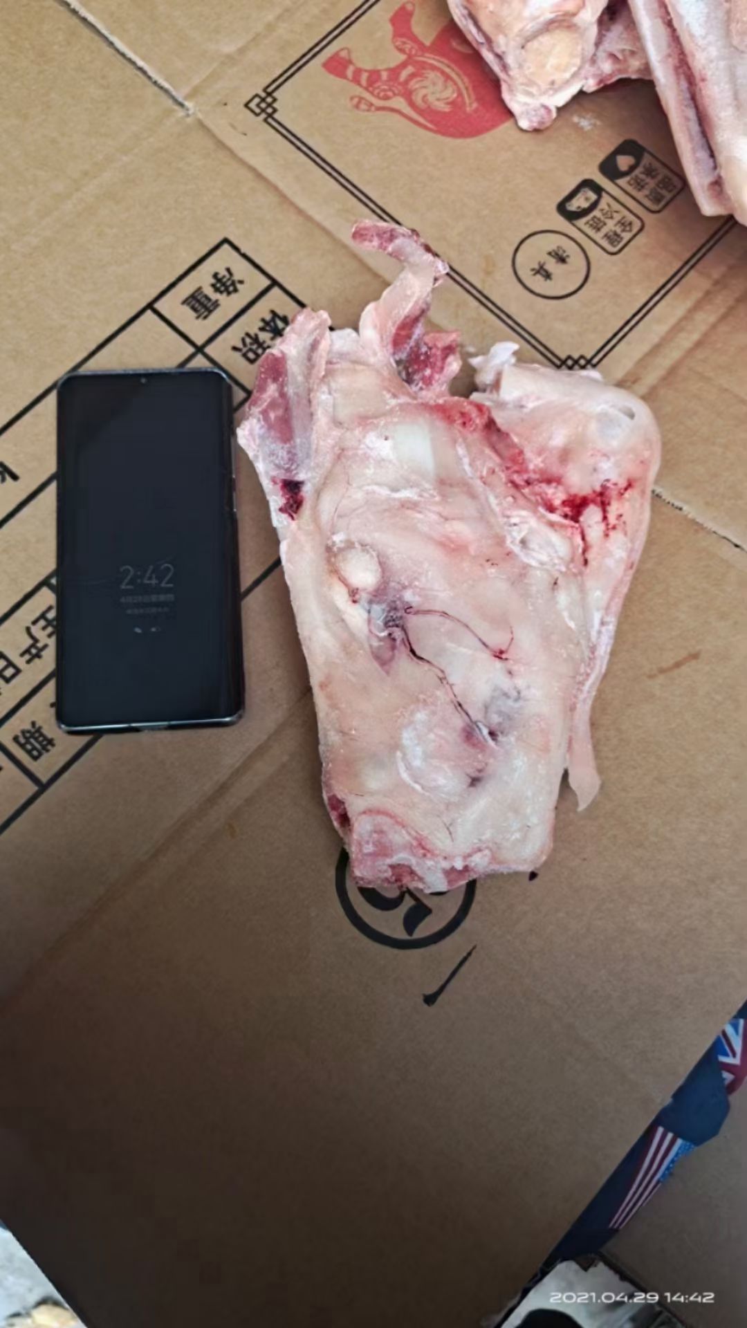 牛筋 牛拐筋，筋多多