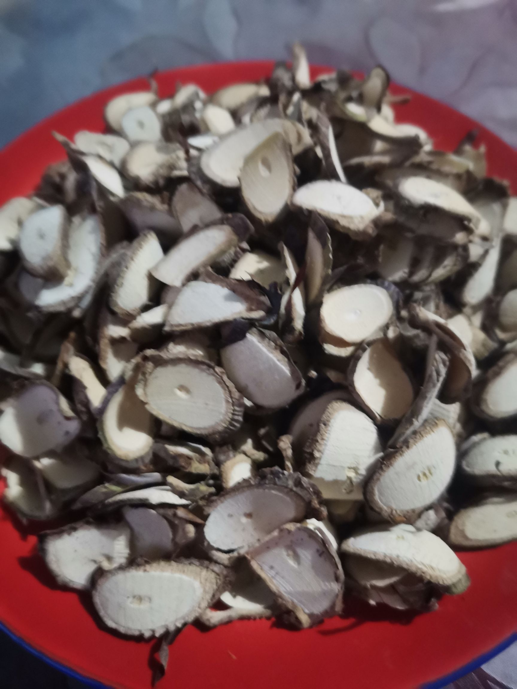 黄藤 黑骨腾中药材