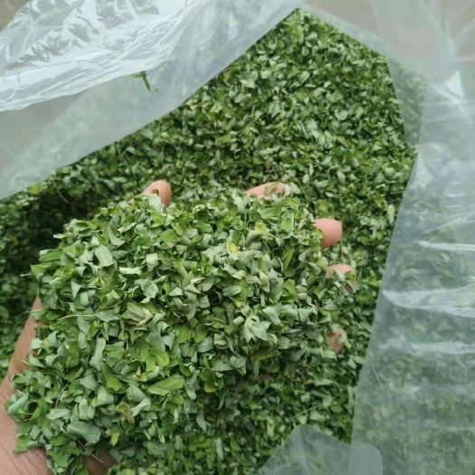 容县广西鸡骨草茶鸡骨草叶茶中草药鸡骨草
