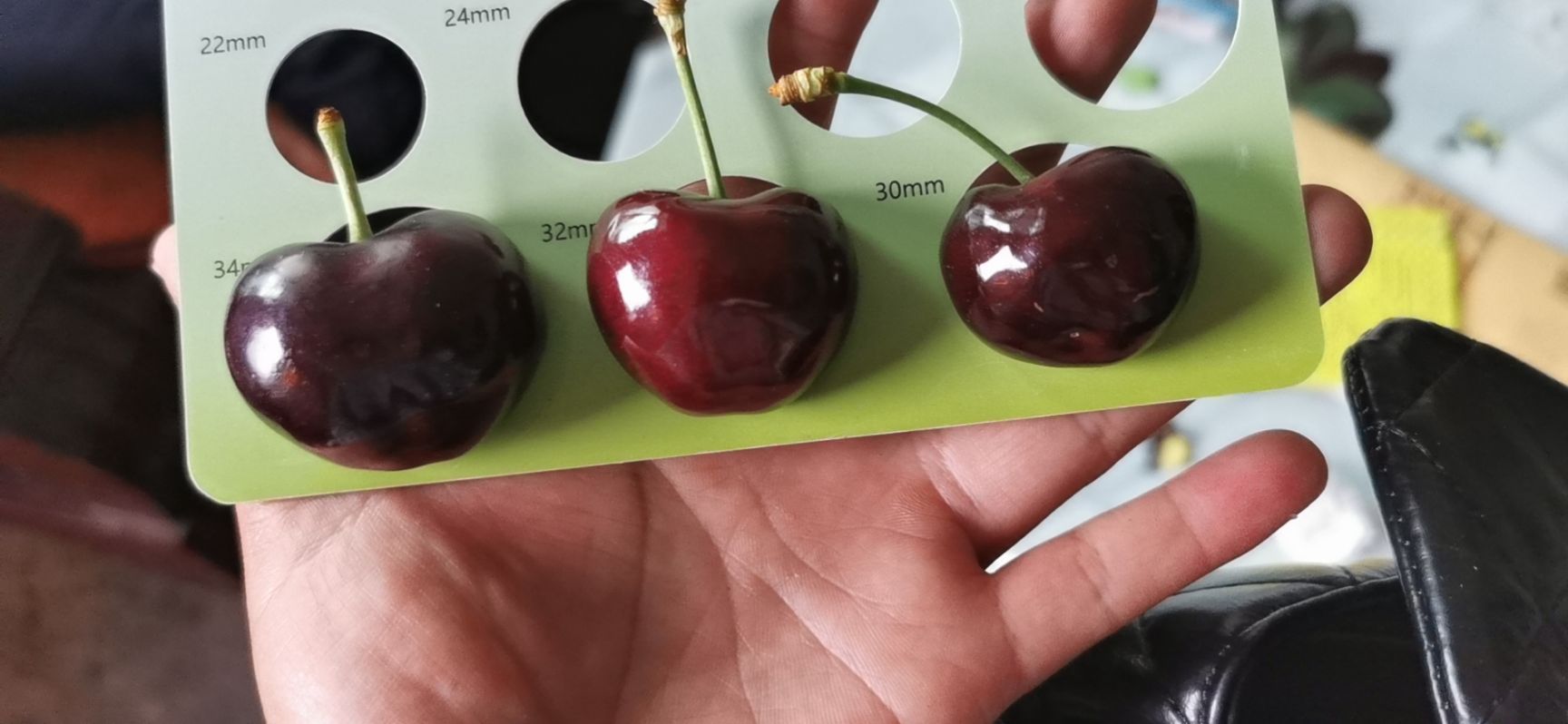 大紫樱桃 黑珍珠，车厘子，一件代发