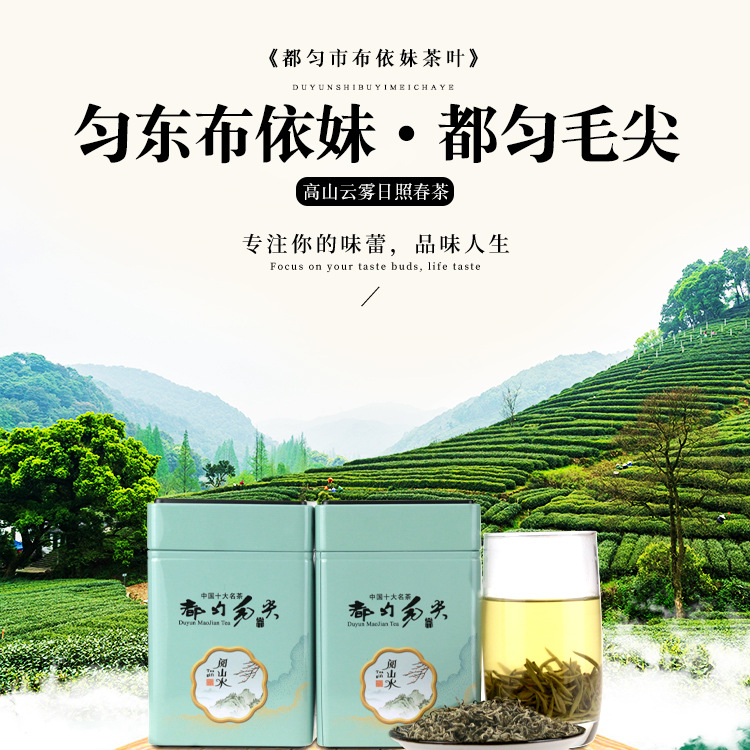 都匀毛尖茶(绿茶)春茶