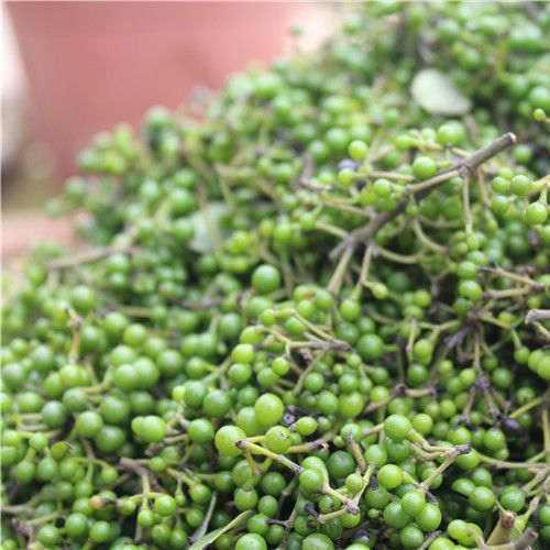 野生新鲜山胡椒山仓子木姜子山胡椒山椒子木姜子现摘现发