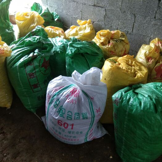 桑植县 大量供应兔粪  商品兔  小兔  大小都有