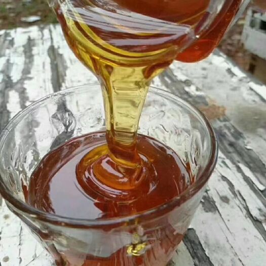常州蜂蜜 夏枯草蜜