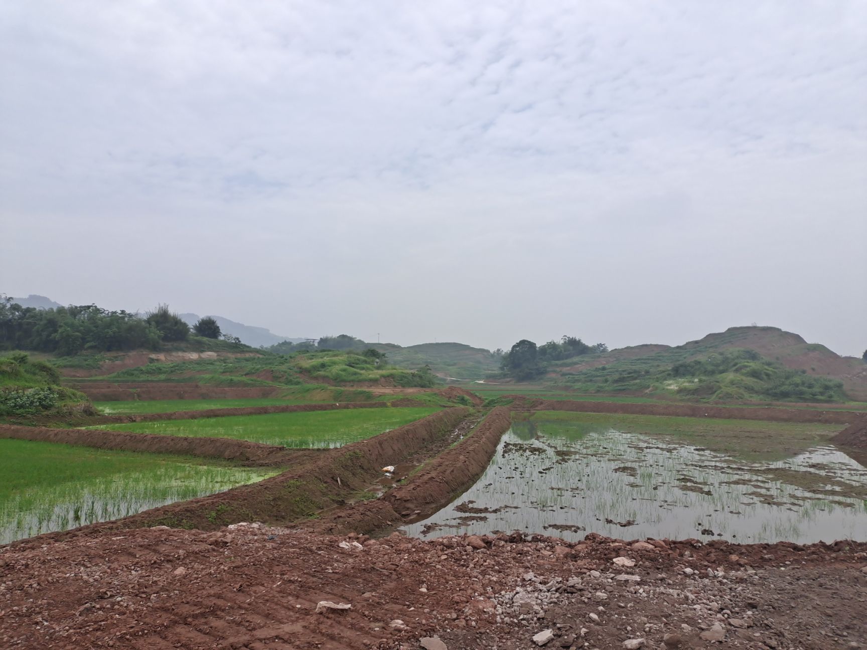 旱地 800亩宜机化土地出租