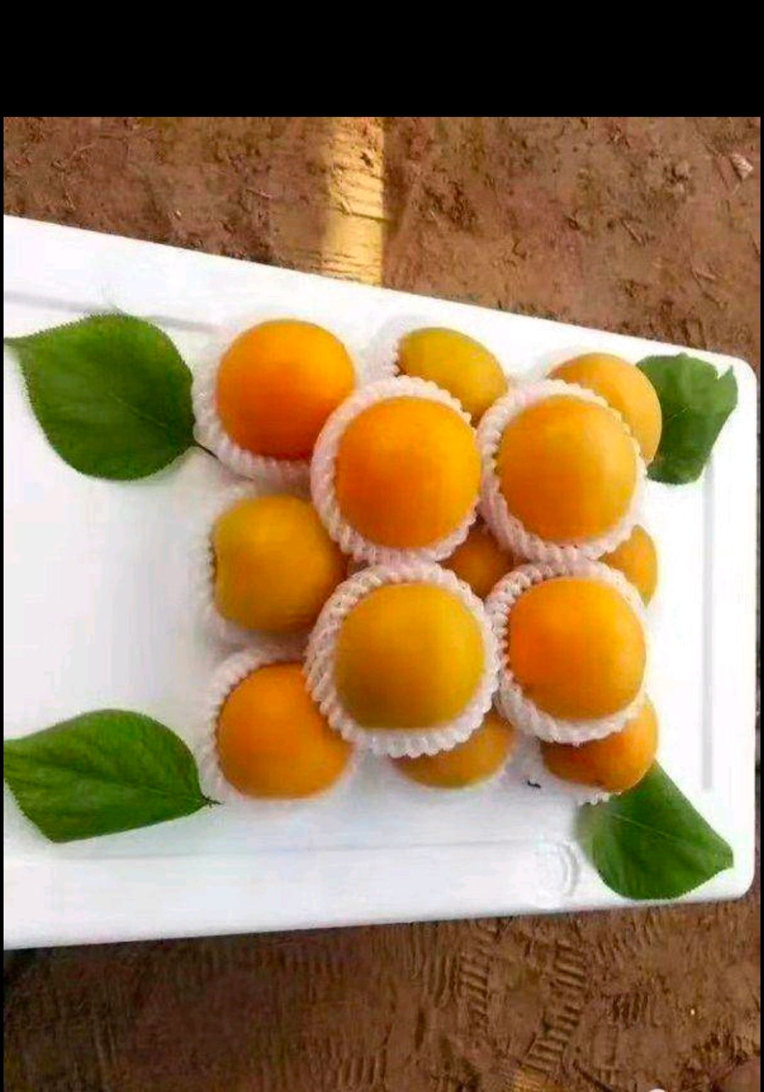 金太阳杏  精品优质果脯杏，产地直销批发，现摘现发
诚信经营