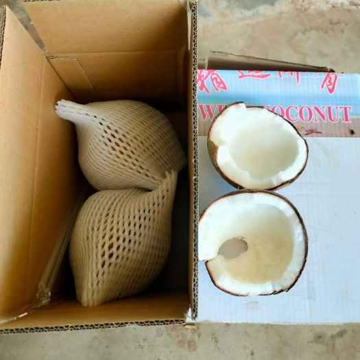 海南文昌新鲜椰皇1/2/6个装椰王抛光黑老椰孕妇 甜品椰子碗