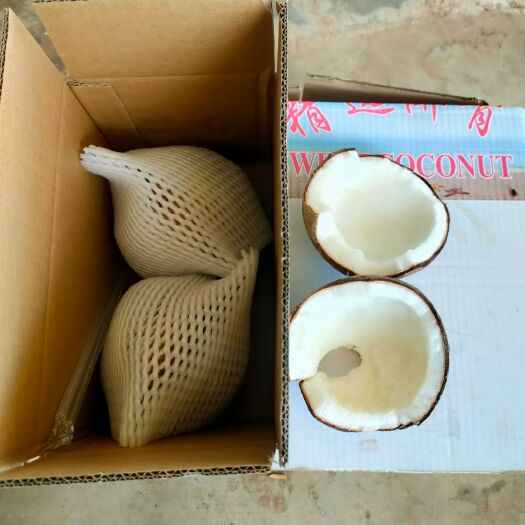 文昌市海南文昌新鲜椰皇1/2/6个装椰王抛光黑老椰孕妇 甜品椰子碗