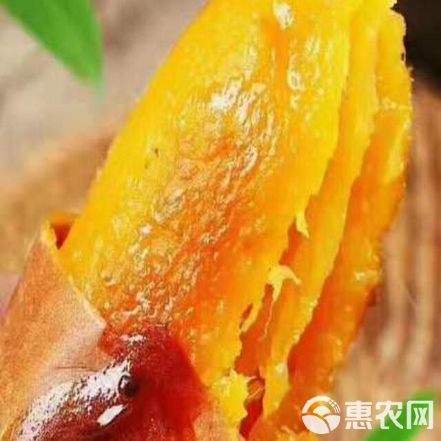 烟薯 蜜薯 红心红薯 源头货源 质量可靠 产地代办 欢迎联系