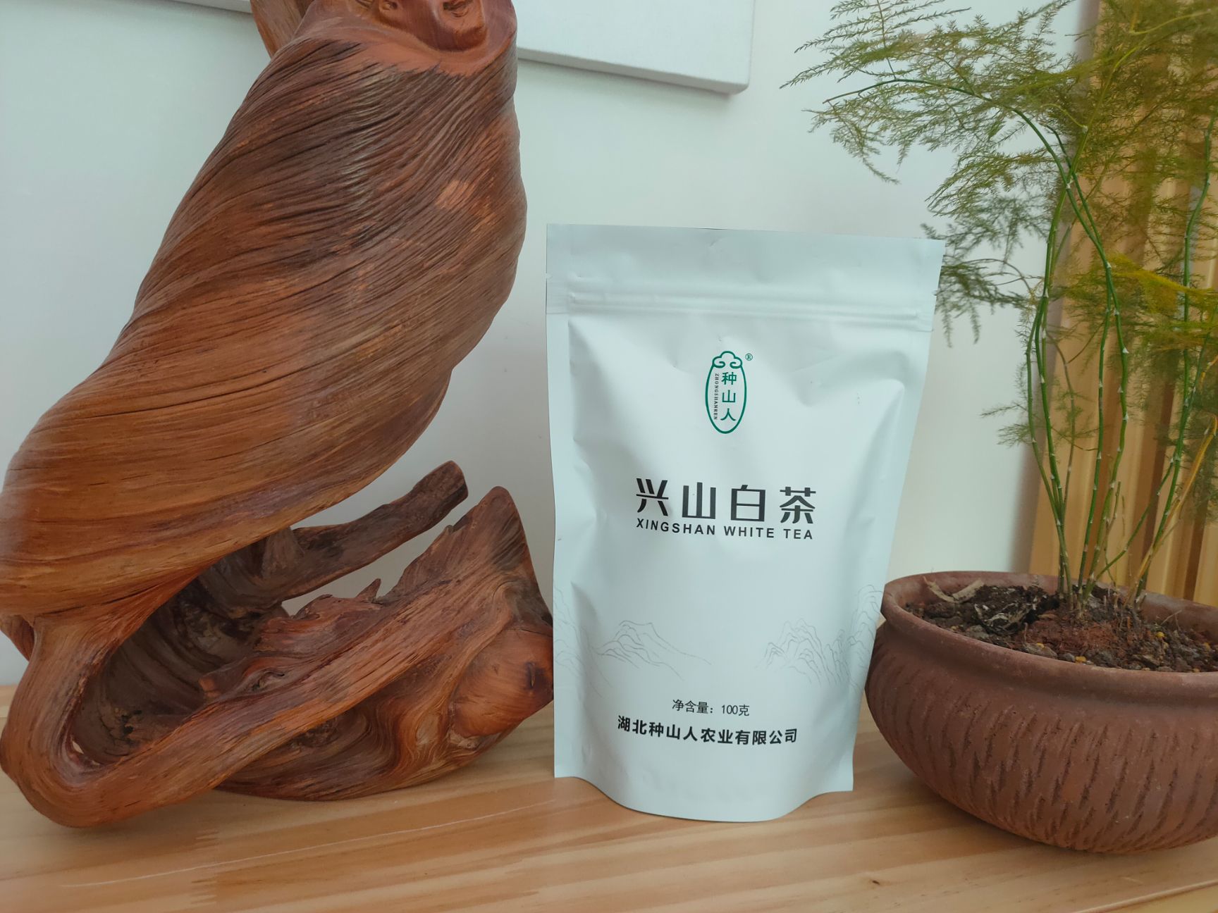新白茶 高山云雾白茶