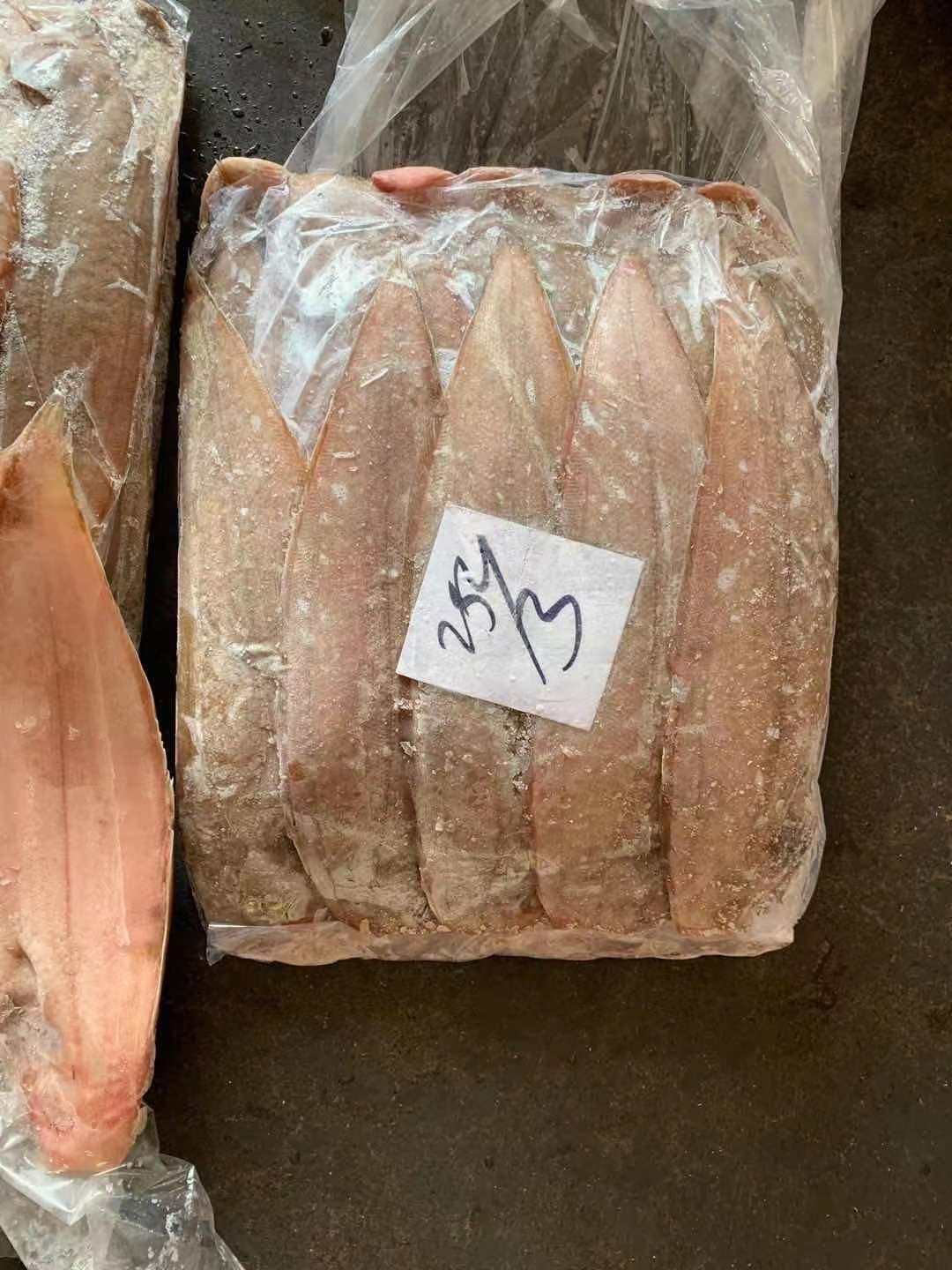舌头鱼  龙利鱼批发龙舌鱼批发舌鳎鱼批发一手货源