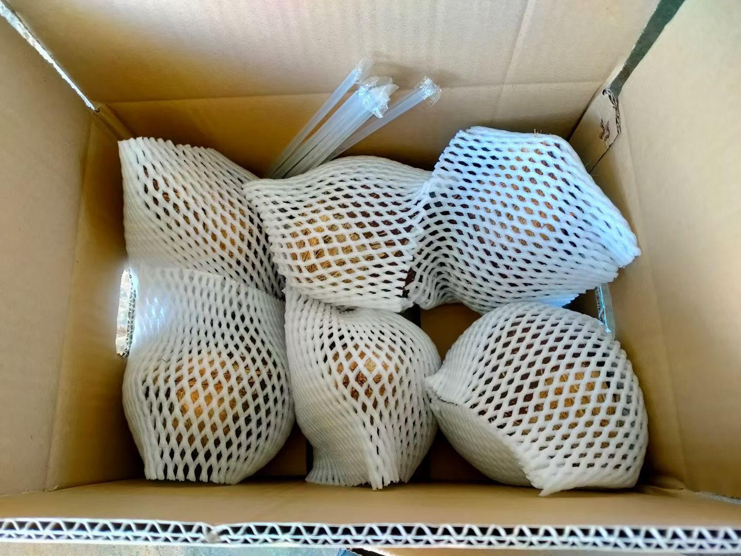 海南文昌新鲜椰皇1/2/6个装椰王抛光黑老椰 甜品椰子碗