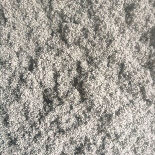 嘉祥县棉籽  优质棉壳