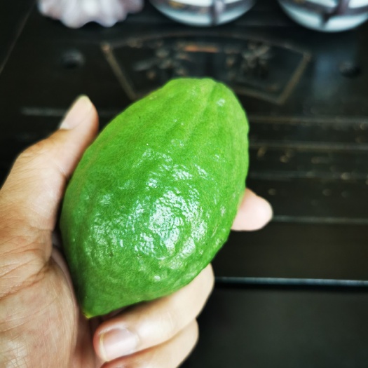 广州一级果，无籽，香水柠檬，增城本地产