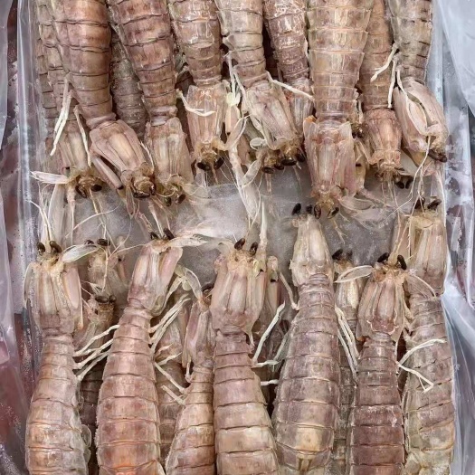 会泽县 皮皮虾