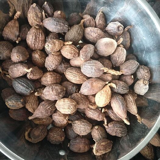 玉林越南草果