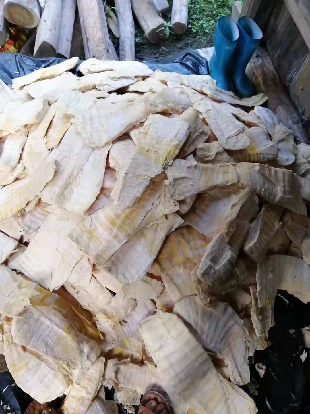 春笋 今年压榨 新鲜开仓笋