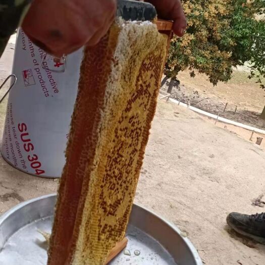 博白县荔枝蜜 农家蜂蜜