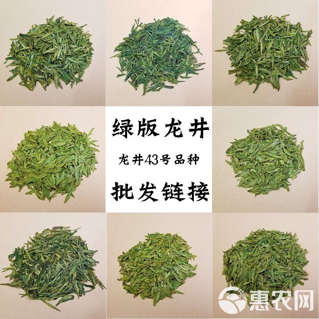 2024年新茶绿版龙井茶龙井43号品种散茶炒青绿茶礼盒装