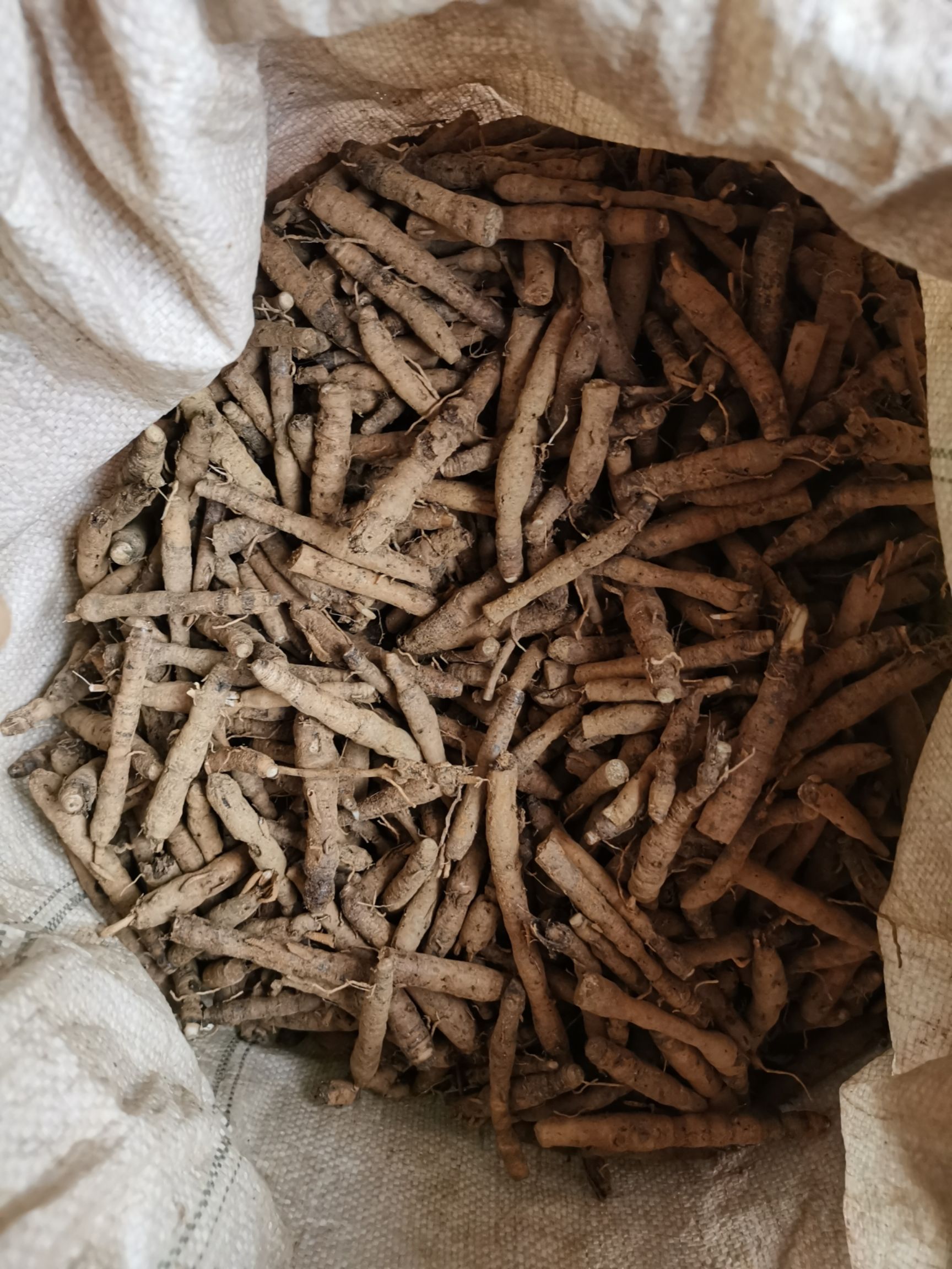 仙茅新鲜货，云南产地含量高品质保证欢迎实地看货（包邮）