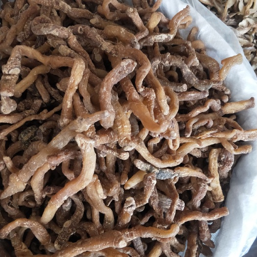 亳州黄精，批发各种中药材，量大从优。