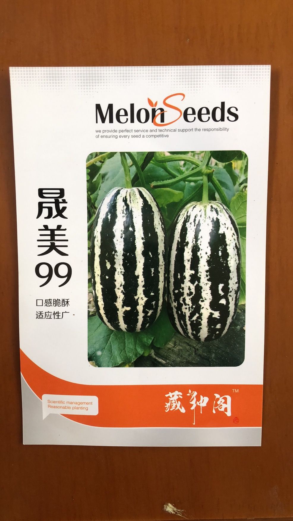 薄皮甜瓜种子博洋9号类型晟美99高产量高品质绿肉红瓤酥脆