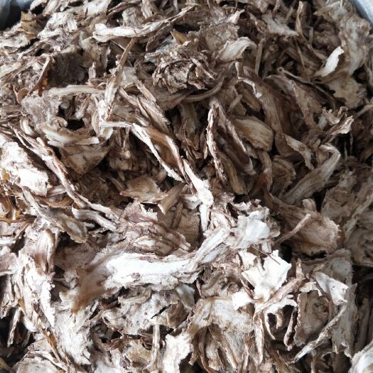 亳州当归，批发各种中药材，量大从优。