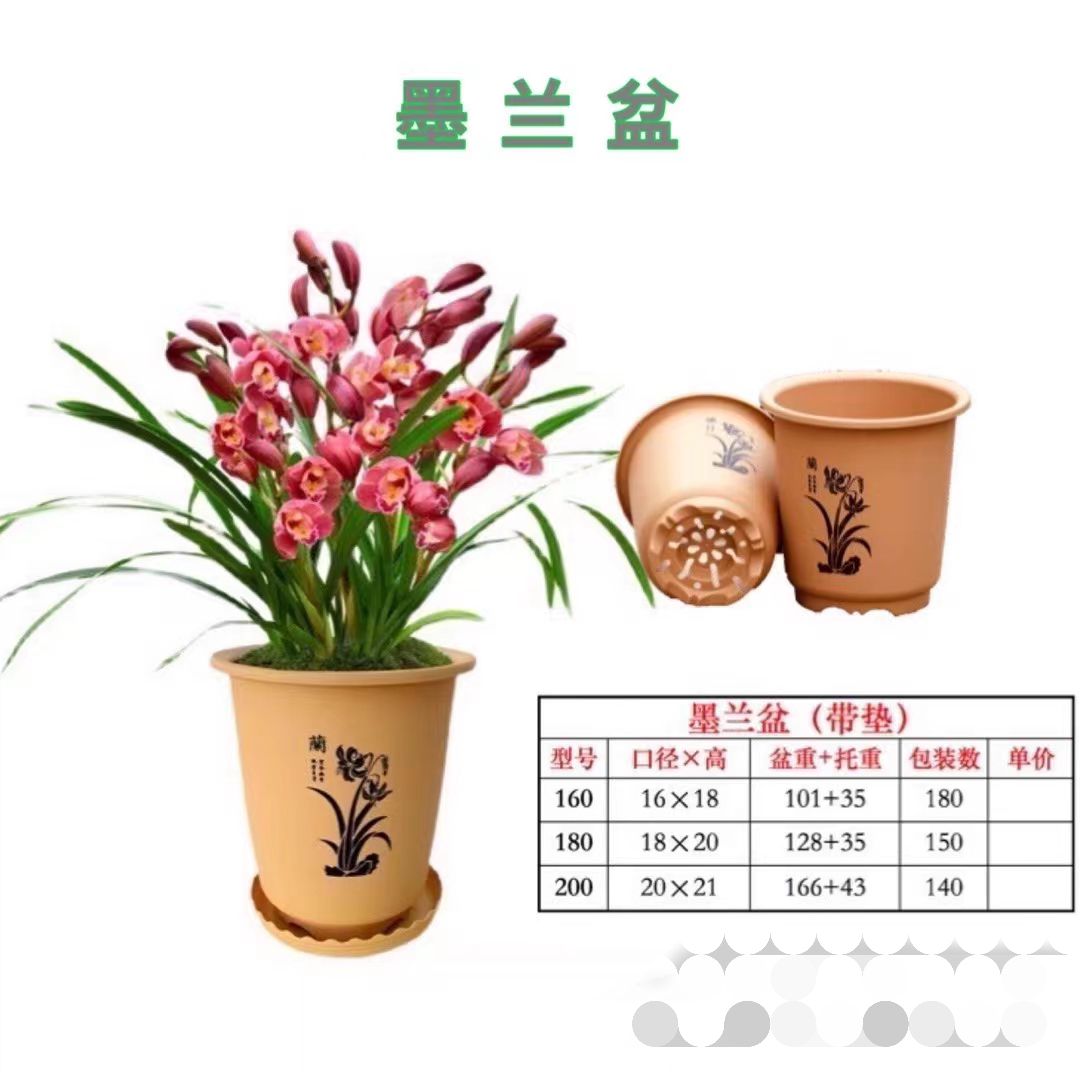  墨兰盆 加厚兰花塑料花盆