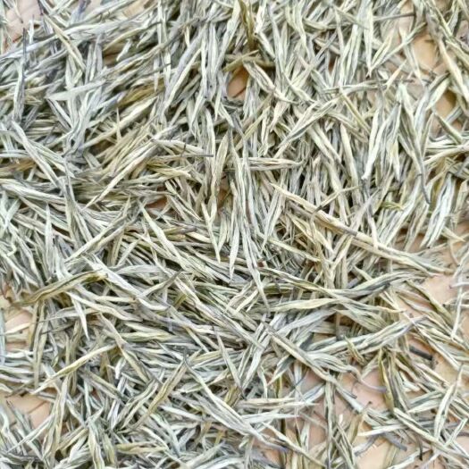 思茅松峰茶  玉针