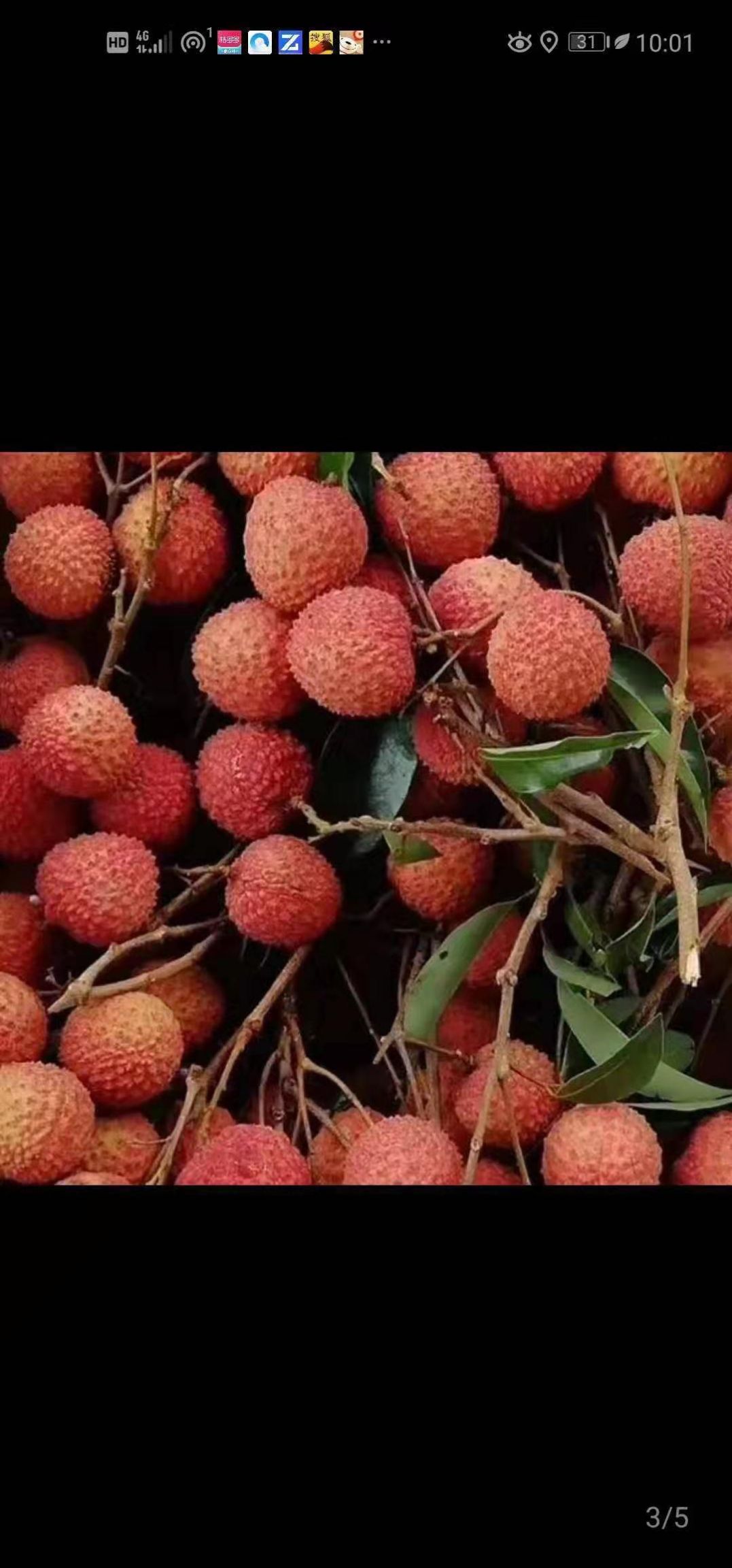 桂味荔枝  聚好荔：广西北流精品桂味，顺丰EMS顺丰包邮支持一件代发