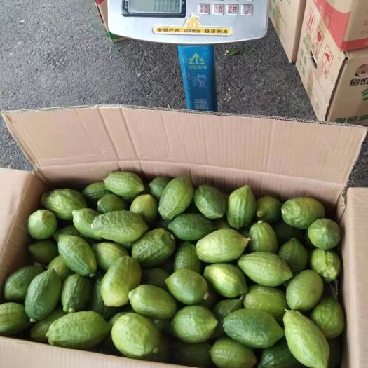 翁源县 广东香水柠檬无籽，新鲜采摘，香味足，奶茶店专用