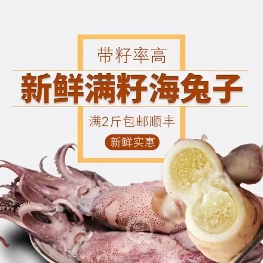 乳山市海兔 鲜冻笔管鱼