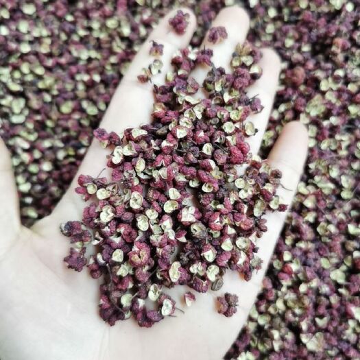 长春大红袍花椒  四川茂文大红袍红麻椒