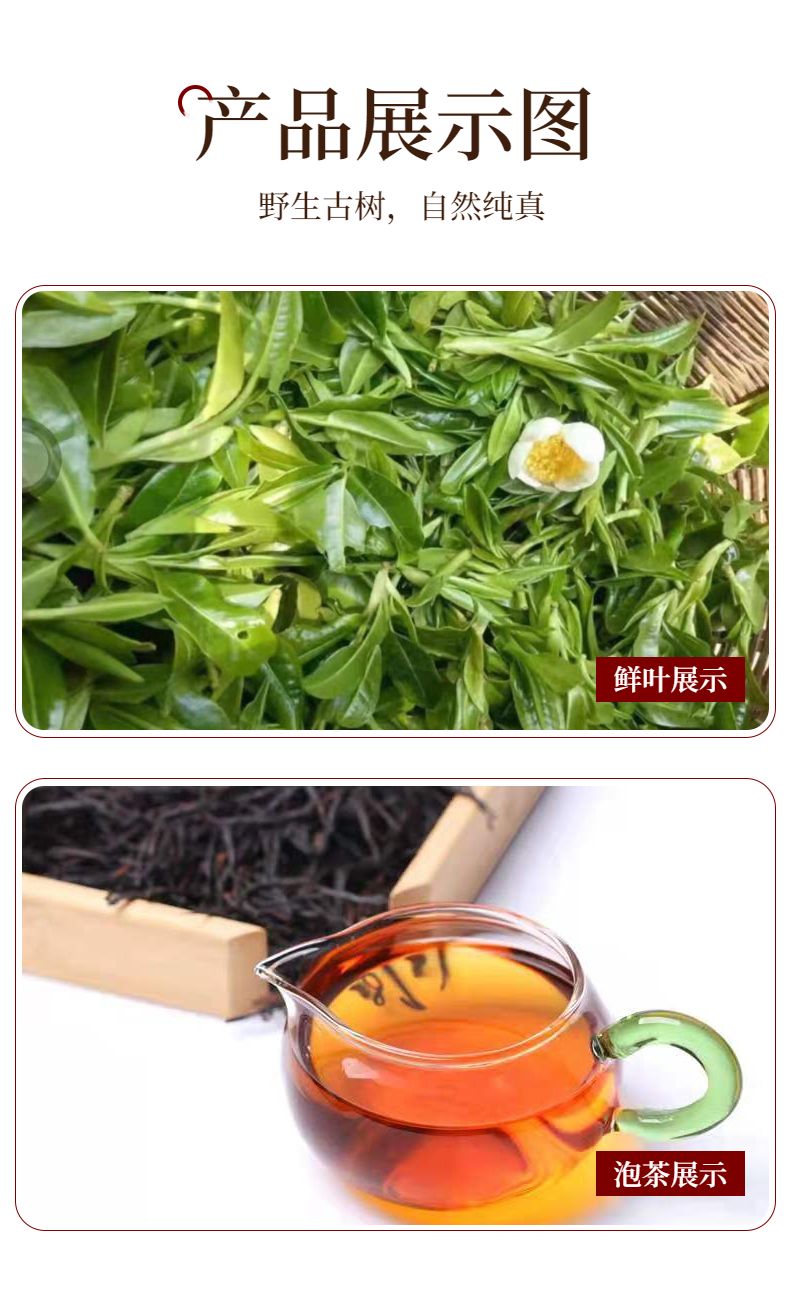 云南野生滇红茶金骏眉茶叶正山小种浓香型2023新茶礼