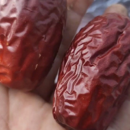 新货 新疆和田大枣 红枣 俊枣，肉厚吊杆肉枣肉皮枣都有货