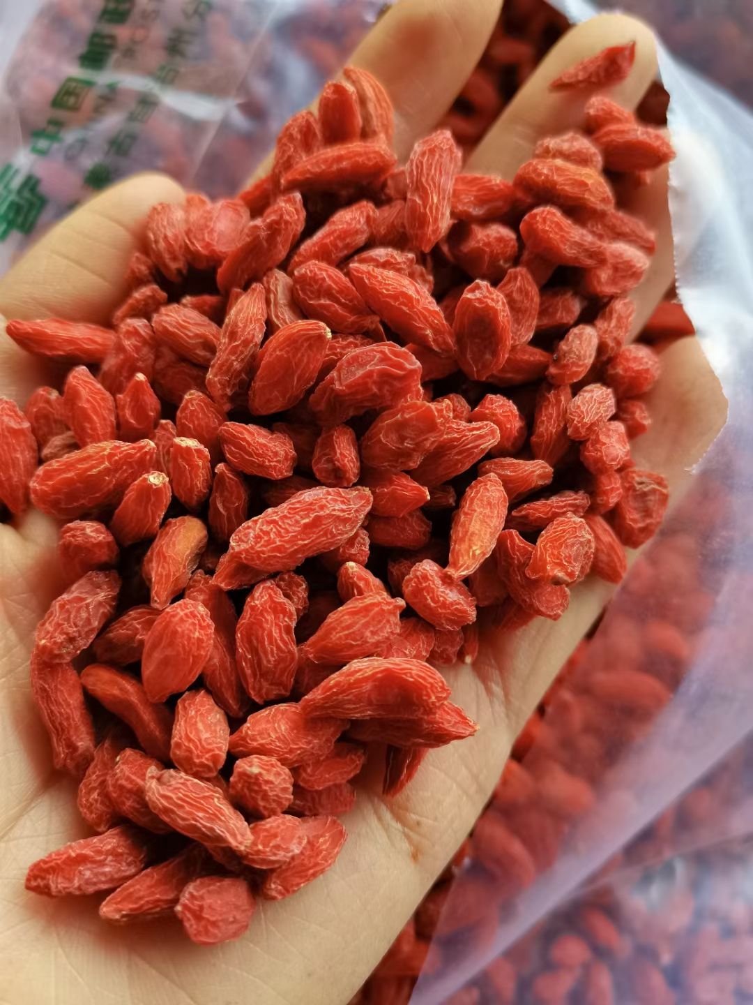 红枸杞 精河枸杞子 颜色漂亮 口感好 原产地直发