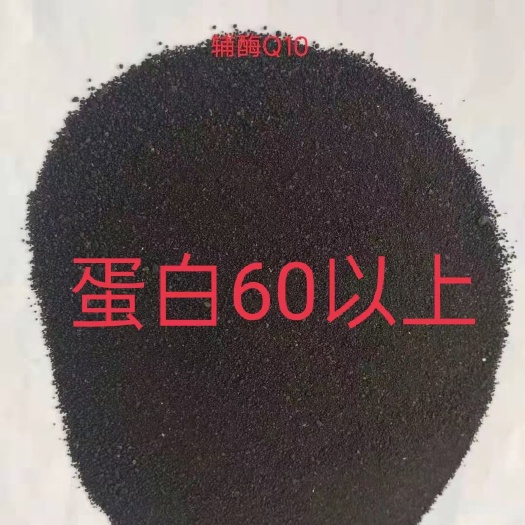 正定县饲料鱼 合同价出 辅酶Q10 实测蛋白62以上