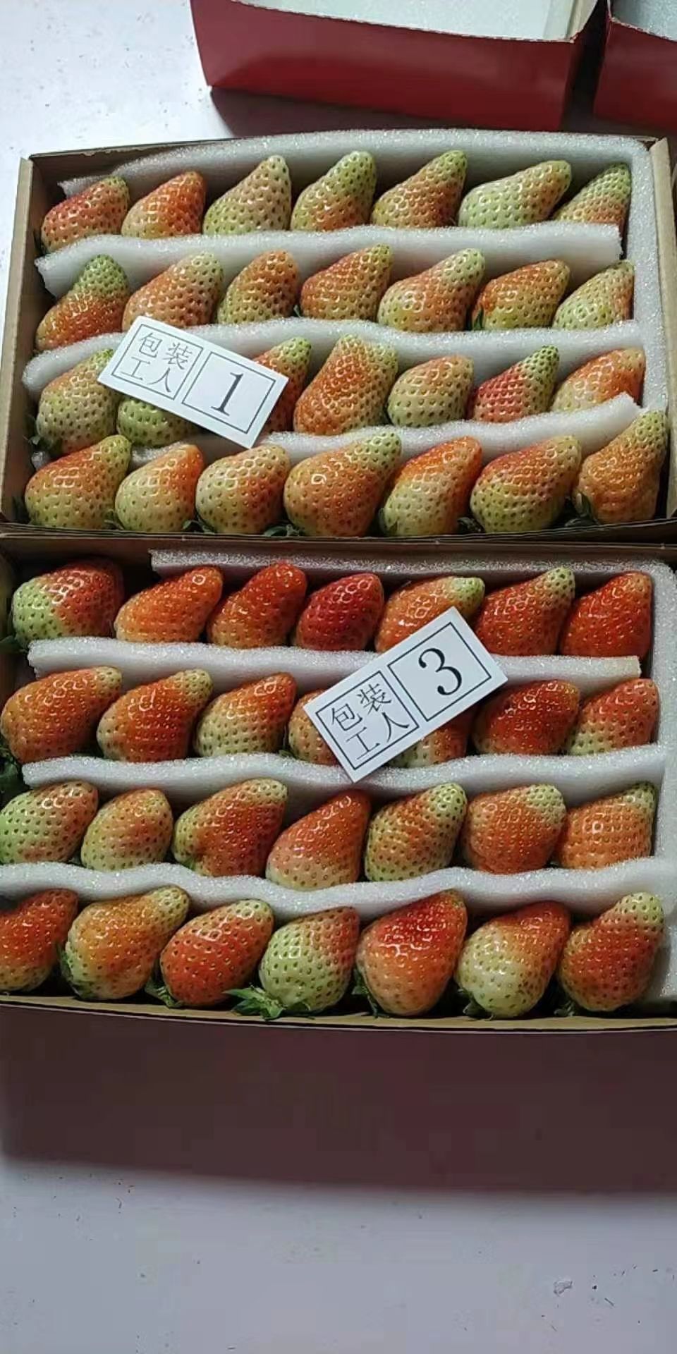 蒙特瑞草莓应季鲜草莓，产地直销