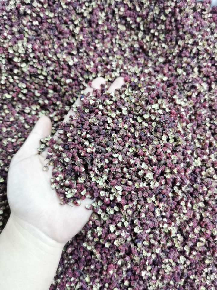 大红袍花椒  四川茂文大红袍红麻椒