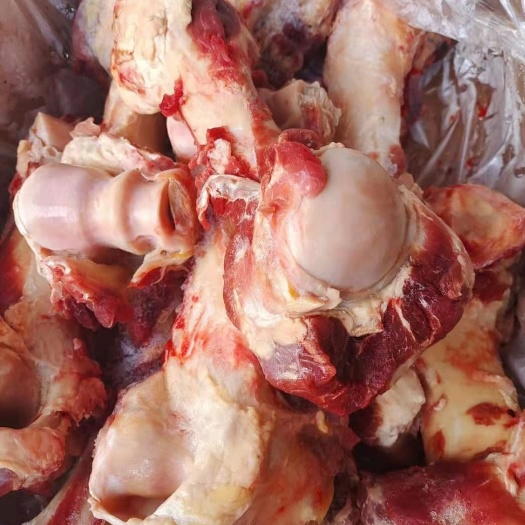 河间市牛骨  加肉牛棒骨 清真食品