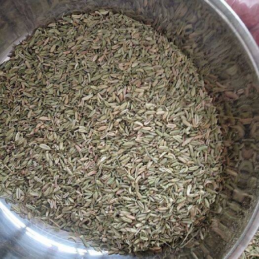 玉林小茴香 国产