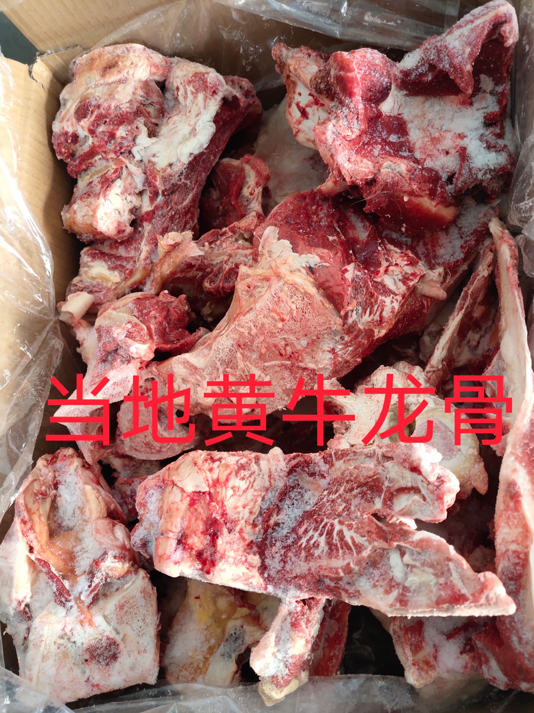 锡林浩特【牛龙骨】黄牛的骨头，剧好段的箱装！长年现货供应！
