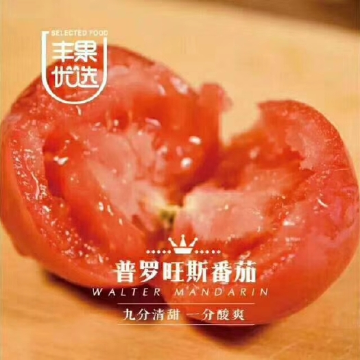 晋中 普罗旺斯番茄