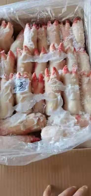 沂水县 肥猪一级猪蹄